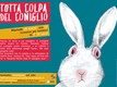 Tutta colpa del coniglio